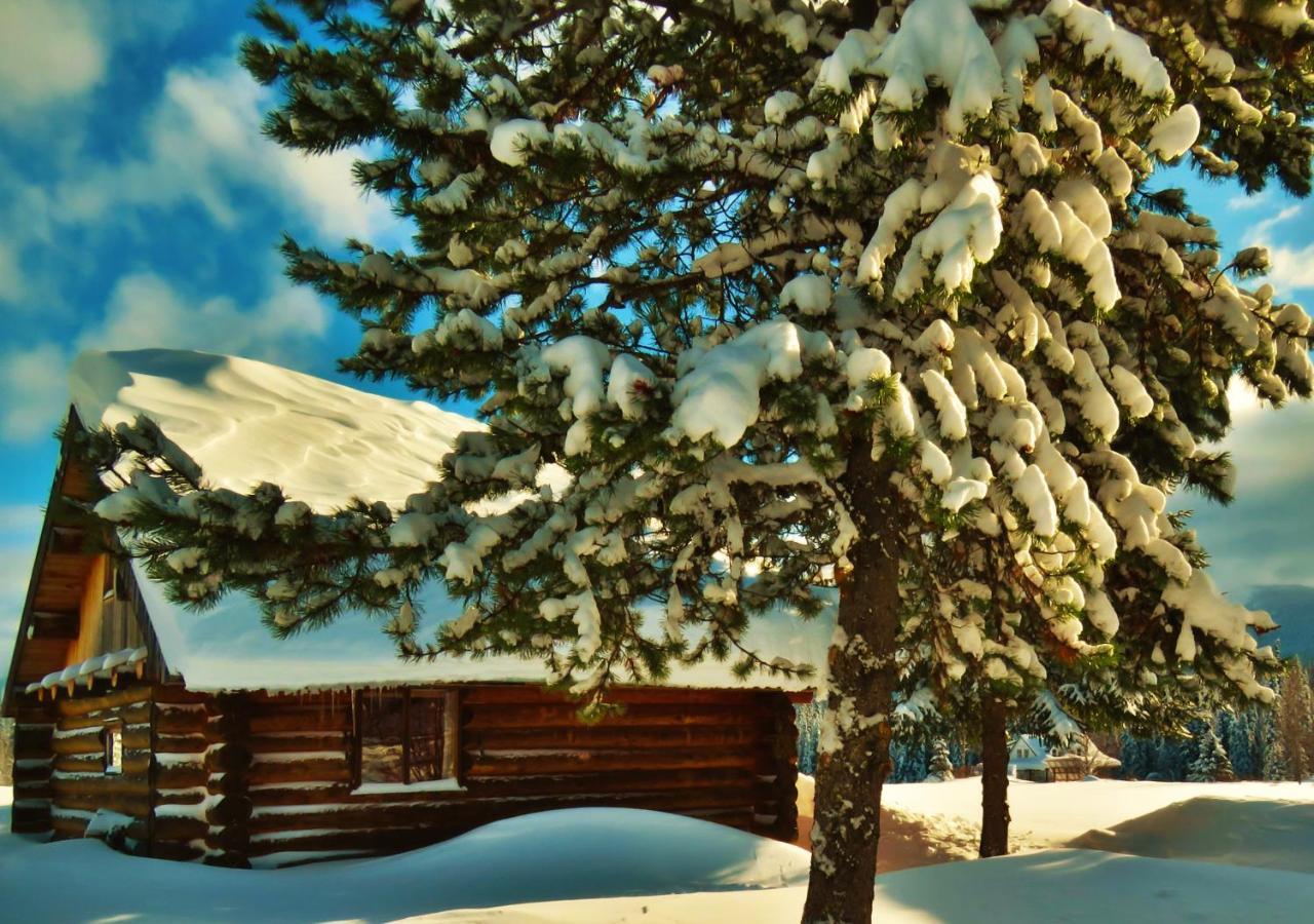 Rocky Ridge Resort-Bc Smithers Exterior foto